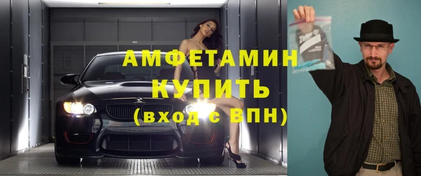 амф Вяземский