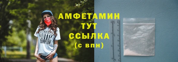 амф Вяземский