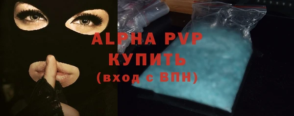 амф Вяземский